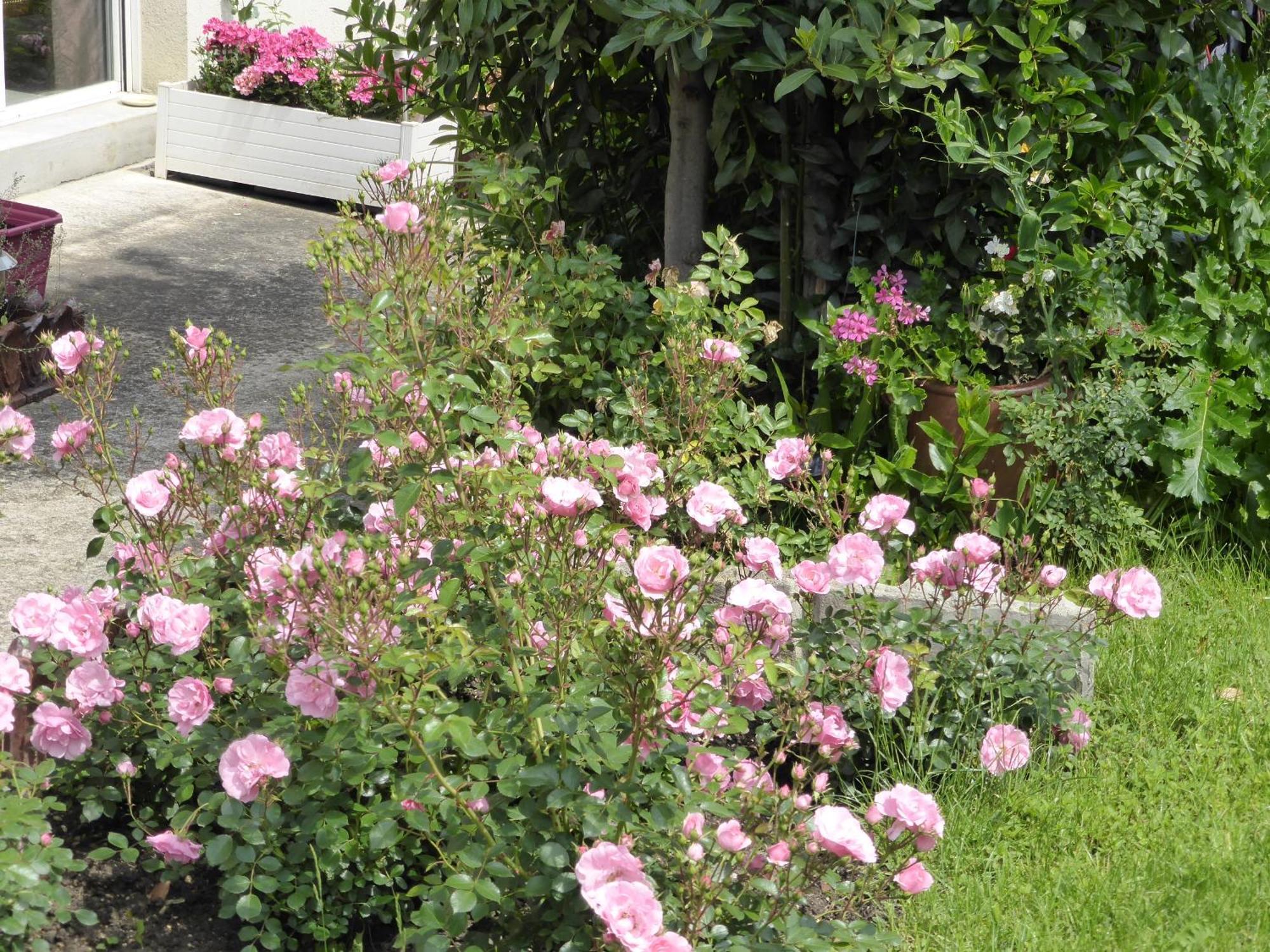 Une Chambre A Neuilly Guest House 외부 사진